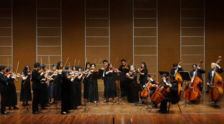 Capella Amadeus string chamber orchestra returns for 25th anniversary